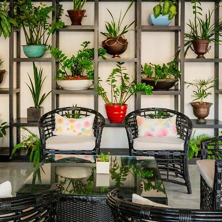 パラシオ ムンド インペリアル アカプルコ エクステリア 写真 A balcony garden