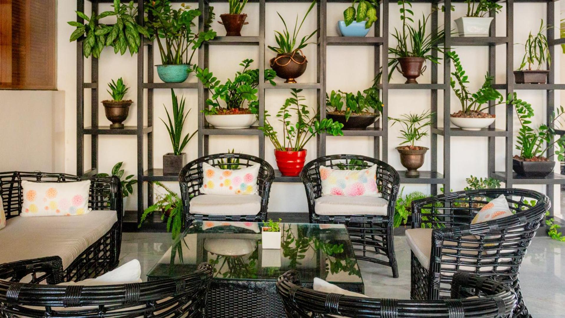 パラシオ ムンド インペリアル アカプルコ エクステリア 写真 A balcony garden