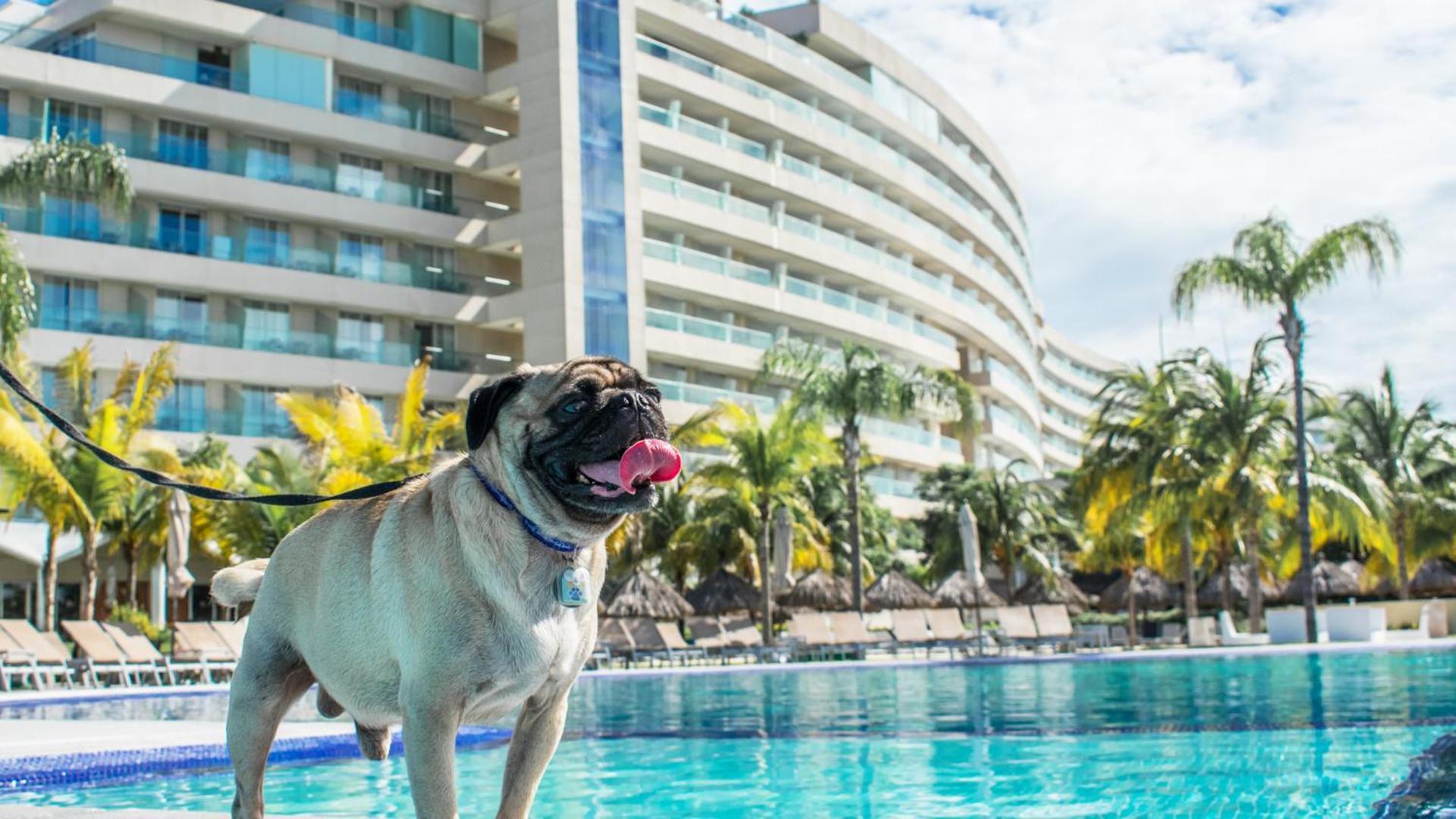 パラシオ ムンド インペリアル アカプルコ エクステリア 写真 Millyard at the Hard Rock Hotel in Cancun